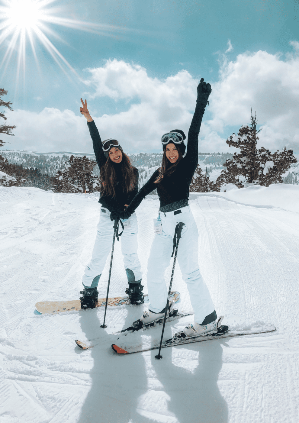 Schneehasen Schneehasen