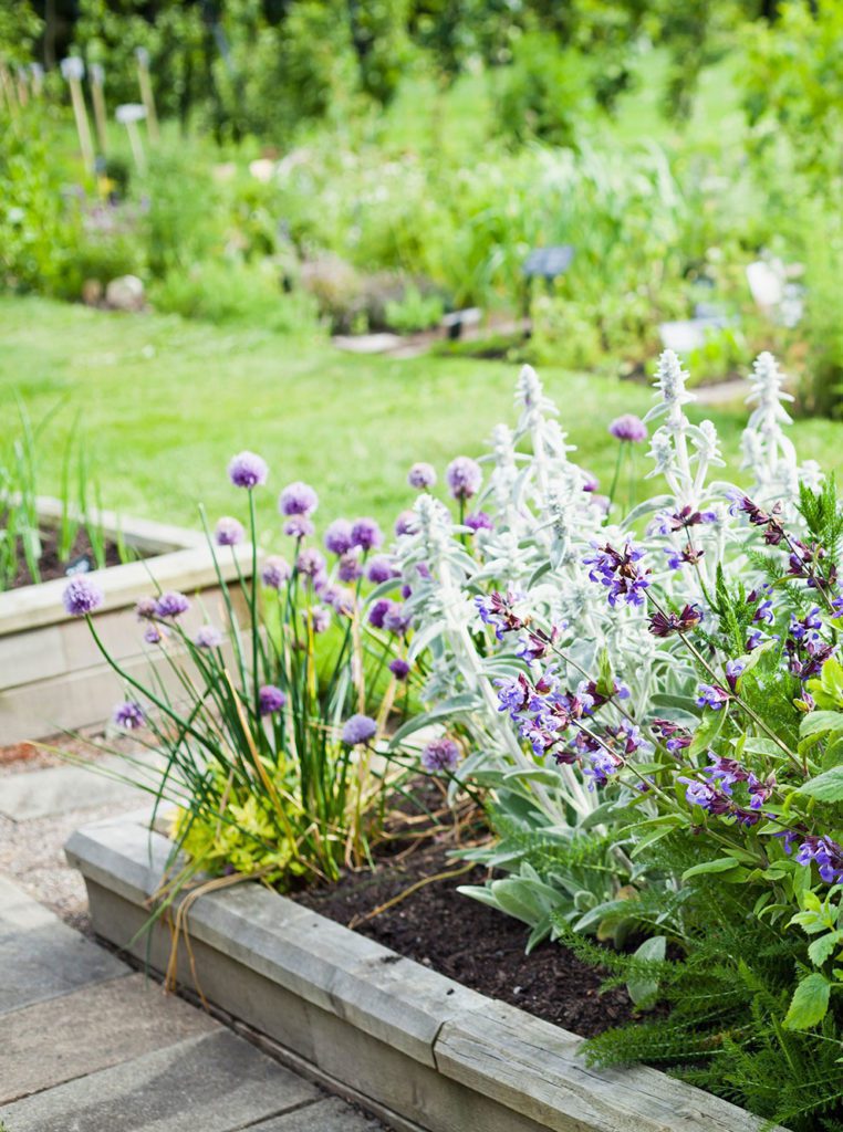 Garten mit Grillmöglichkeiten & Schwimmteich im Hotel The Matthew in Wagrain